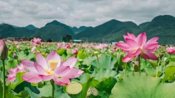 六月不搬家是什么意思