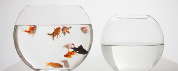 鱼缸空置多久清洗