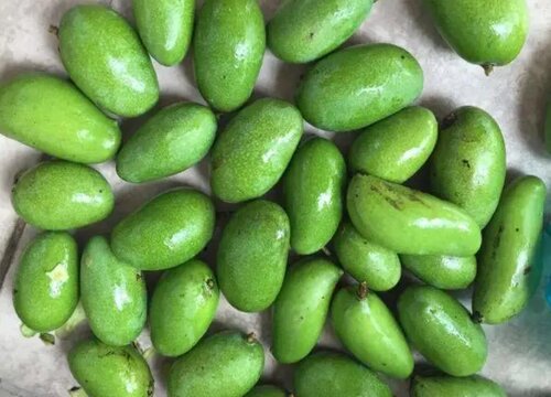 青芒果怎么催熟变黄