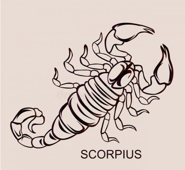 sco是天蝎座的意思吗