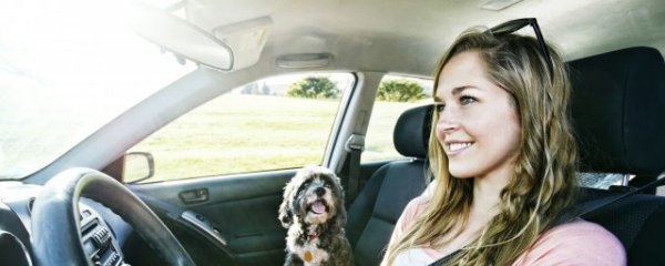 什么材料的汽车座套好