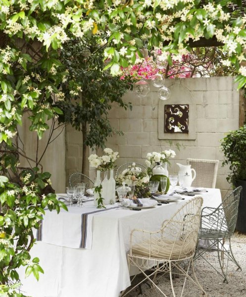 家庭院内栽什么果树最好