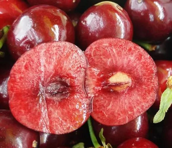 美早大樱桃最佳授粉树是什么品种