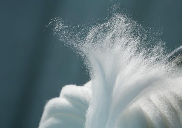 天丝和莱赛尔纤维的区别