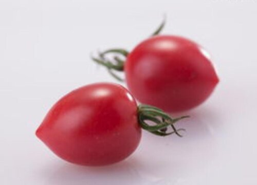 千禧果亩产量多少斤