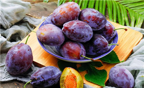 农村种植什么赚钱不愁销路