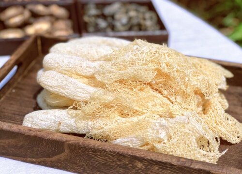 竹荪网全部扔掉吗