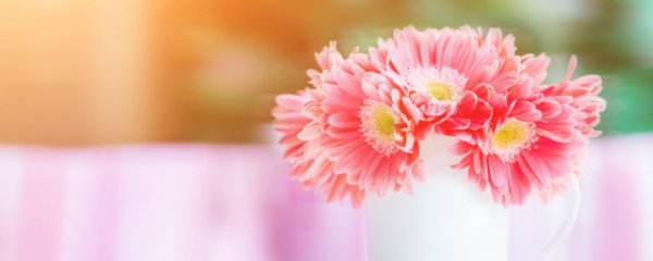 如何让鲜花保鲜