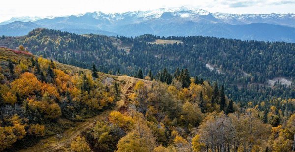 摩羯座巨蟹座性格特点对比