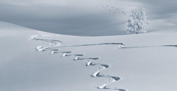 摩羯座巨蟹座性格特点对比