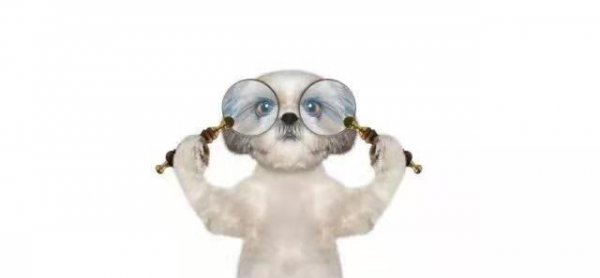 买二手车需要注意什么