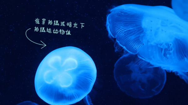 佳能和索尼相机哪个好用些