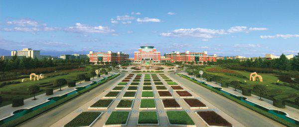 985里最差的十所大学