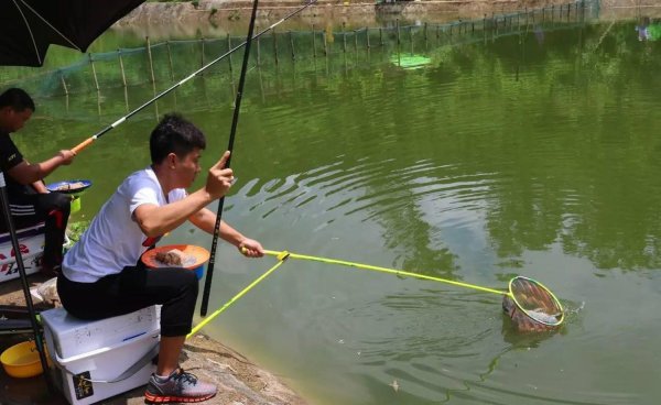 钓鱼上岸是什么意思网络用语