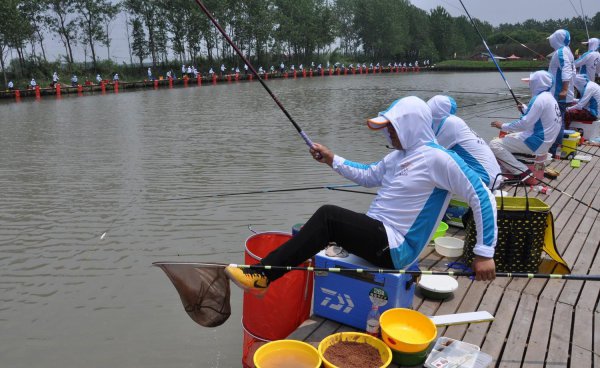 钓鱼上岸是什么意思网络用语