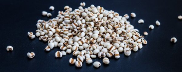薏仁米是凉性还是热性
