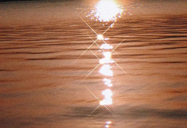 摩羯女天蝎男星座配对指数