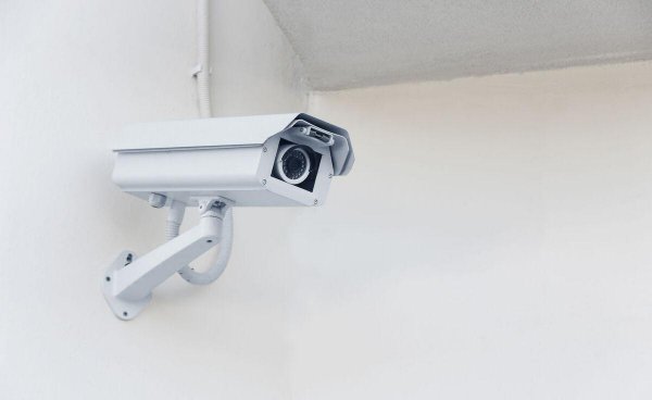 农村做什么致富赚钱