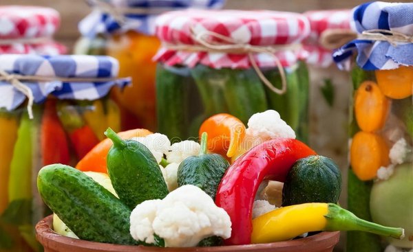 农村做什么致富赚钱