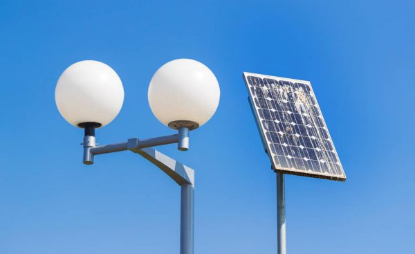 农村做什么致富赚钱