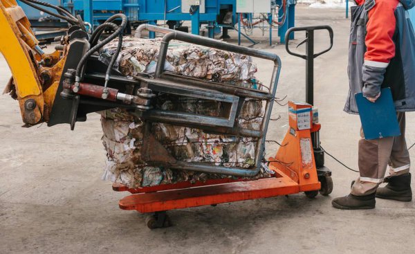 农村做什么致富赚钱