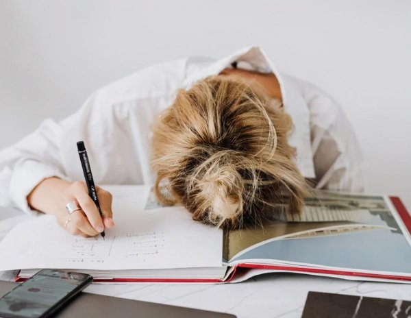 40个辞职的最好理由书面