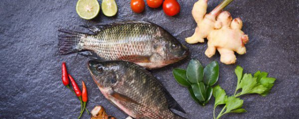 莲子和鱼可以同时吃吗