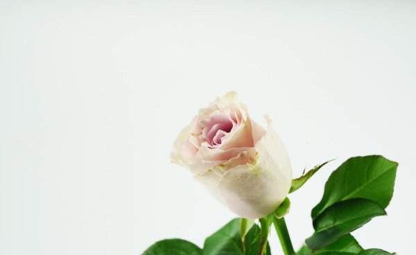 处座男对暗恋的女生表现