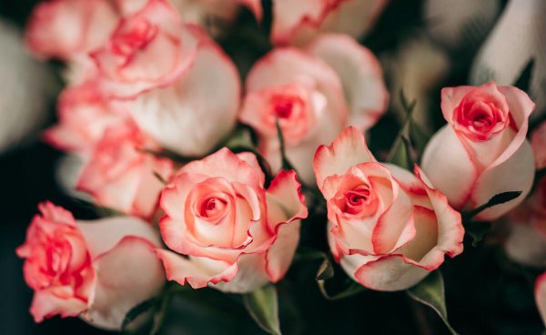 处座男对暗恋的女生表现