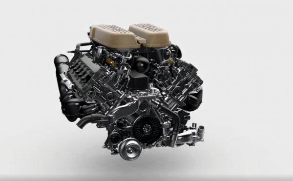 盖拉多是大牛还是小牛