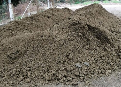 牛粪怎么发酵成有机肥