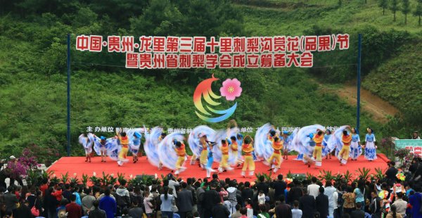 贵州黔南有哪些县市