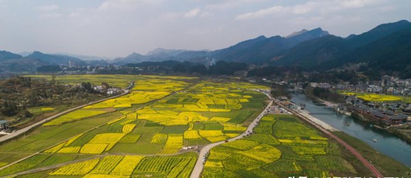 贵州黔南有哪些县市