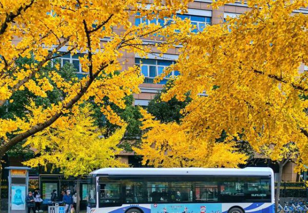 售楼处卖房子的套路有多少