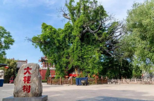 山西景点排行榜前十名是什么地方