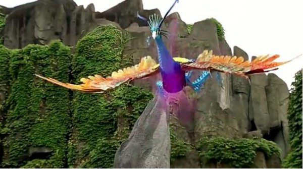 朱雀是什么动物的化身