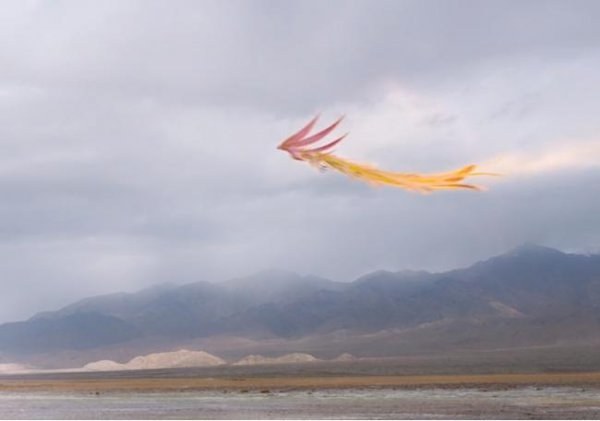 朱雀是什么动物的化身