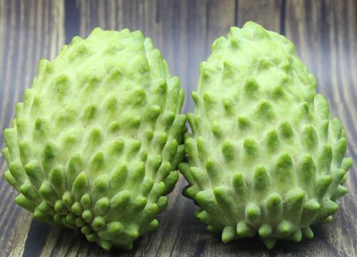 释迦果是热带水果吗