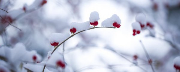 山东立冬的说说短句