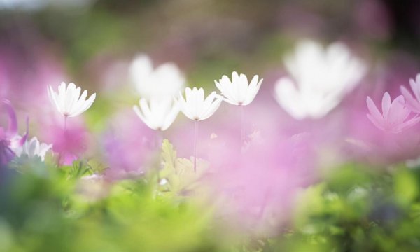 什么星座最有钱