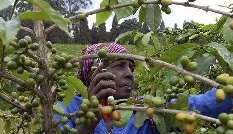 罗安达是哪个国家的首都