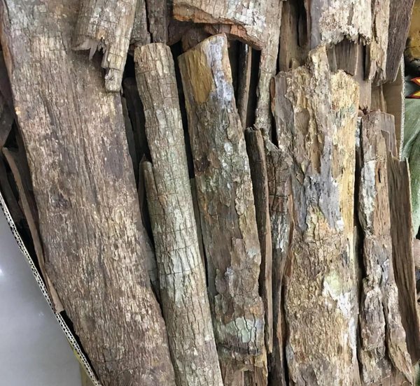 罗安达是哪个国家的首都