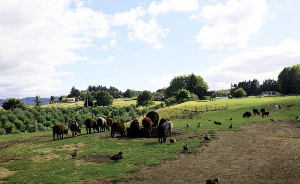 罗安达是哪个国家的首都