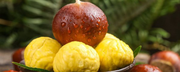 新鲜毛栗子怎么挑