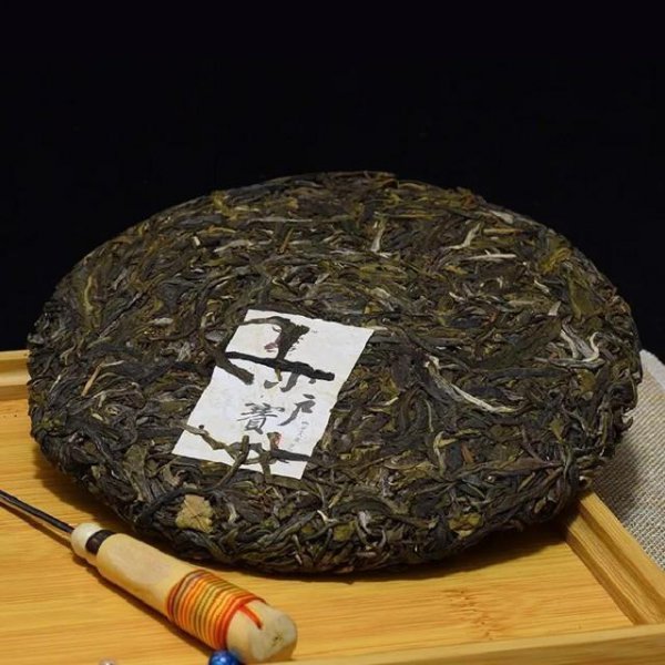 台地茶和古树茶的区别照片