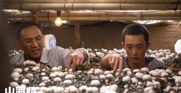 2023十大必看电视剧