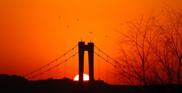 鸟站在高压线上不触电的原因