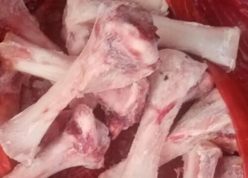 如何用骨头养护三角梅花开不断