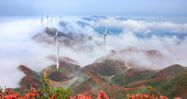 江西泰和县是哪个市