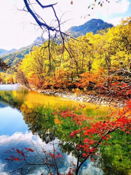 文言文中之的意思和用法